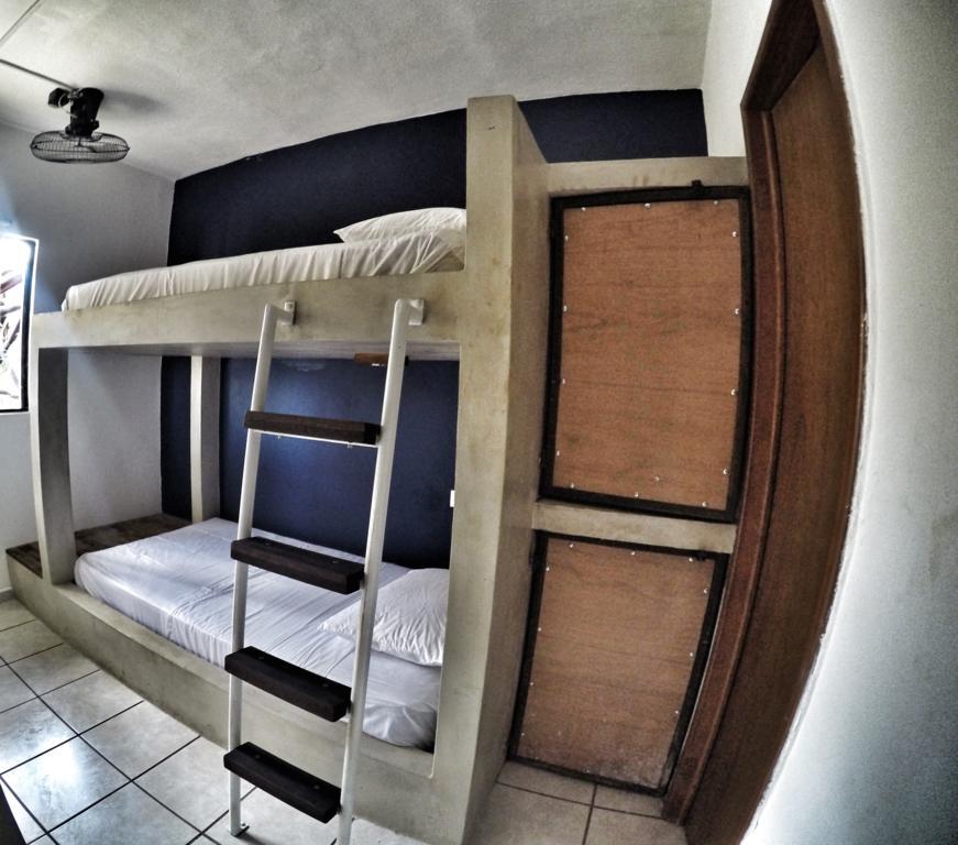 Lobo De Mar Hostelプレヤデルカーメン エクステリア 写真